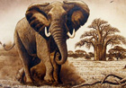 Theme - African Wildlife